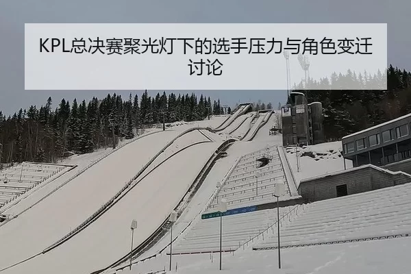 KPL总决赛聚光灯下的选手压力与角色变迁讨论
